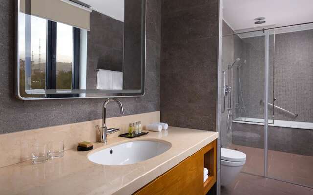 Отель DoubleTree by Hilton Almaty Алматы-16